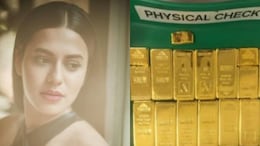 Actor Ranya Rao Named In Rs 102-Crore Gold Smuggling Case Chargesheet