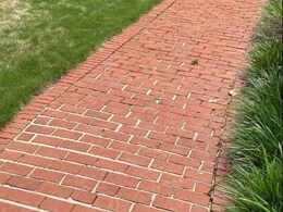 इस तस्वीर में छिपा है एक कछुआ, सबसे तेज़ नज़र वाले ही इसे 5 सेकंड में ढूंढ सकते हैं, क्या आपकी भी नज़र है तेज़?