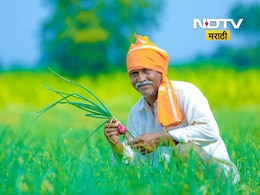Akola Onion: कांदा उत्पादकांवर नवे संकट! 4 महिने झाले पण वाढ होईना; शेतकऱ्याने  उभ्या पिकावर फिरवला ट्रॅक्टर Akola Onion: कांदा उत्पादकांवर नवे संकट! 4 महिने झाले पण वाढ होईना; शेतकऱ्याने  उभ्या पिकावर फिरवला ट्रॅक्टर
