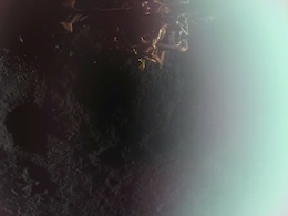 Blue Ghost's First Photo From Moon