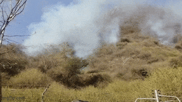 Sajjangarh Fire: सज्जनगढ़ अभयारण्य में लगी आग 4 दिन बाद भी नहीं बुझी, घर खाली कराए गए, जानें अभी की स्थिति