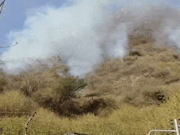 Sajjangarh Fire: सज्जनगढ़ अभयारण्य में लगी आग 4 दिन बाद भी नहीं बुझी, घर खाली कराए गए, जानें अभी की स्थिति Sajjangarh Fire: सज्जनगढ़ अभयारण्य में लगी आग 4 दिन बाद भी नहीं बुझी, घर खाली कराए गए, जानें अभी की स्थिति
