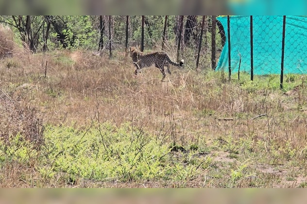 Latest and Breaking News on NDTV