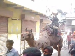 Rajasthan: बैंड बाजे के साथ निकाली बिना दुल्हन की बारात, होली पर 250 साल पुरानी है यह रिवाज