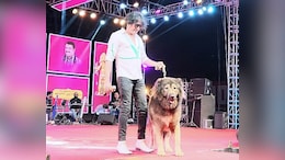 50 करोड़ का कुत्ता! बेंगलुरु के सतीश का अमेरिका में अनोखे डॉग पर रीझा मन, मुंहमांगी कीमत दे डाली