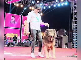 50 करोड़ का कुत्ता! बेंगलुरु के सतीश का अमेरिका में अनोखे डॉग पर रीझा मन, मुंहमांगी कीमत दे डाली