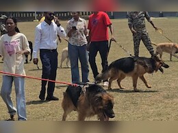 Dog Show:  शानदार करतब में IAS अफसर के डॉग 'बॉर्डर कॉली' ने मारी बाजी, पहली बार के आयोजन में 58 डॉग्स ने लिया था हिस्सा