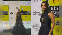 Triptii Dimri Makes Quite An Entry In A Temperature-Raising Sheer Black Gown