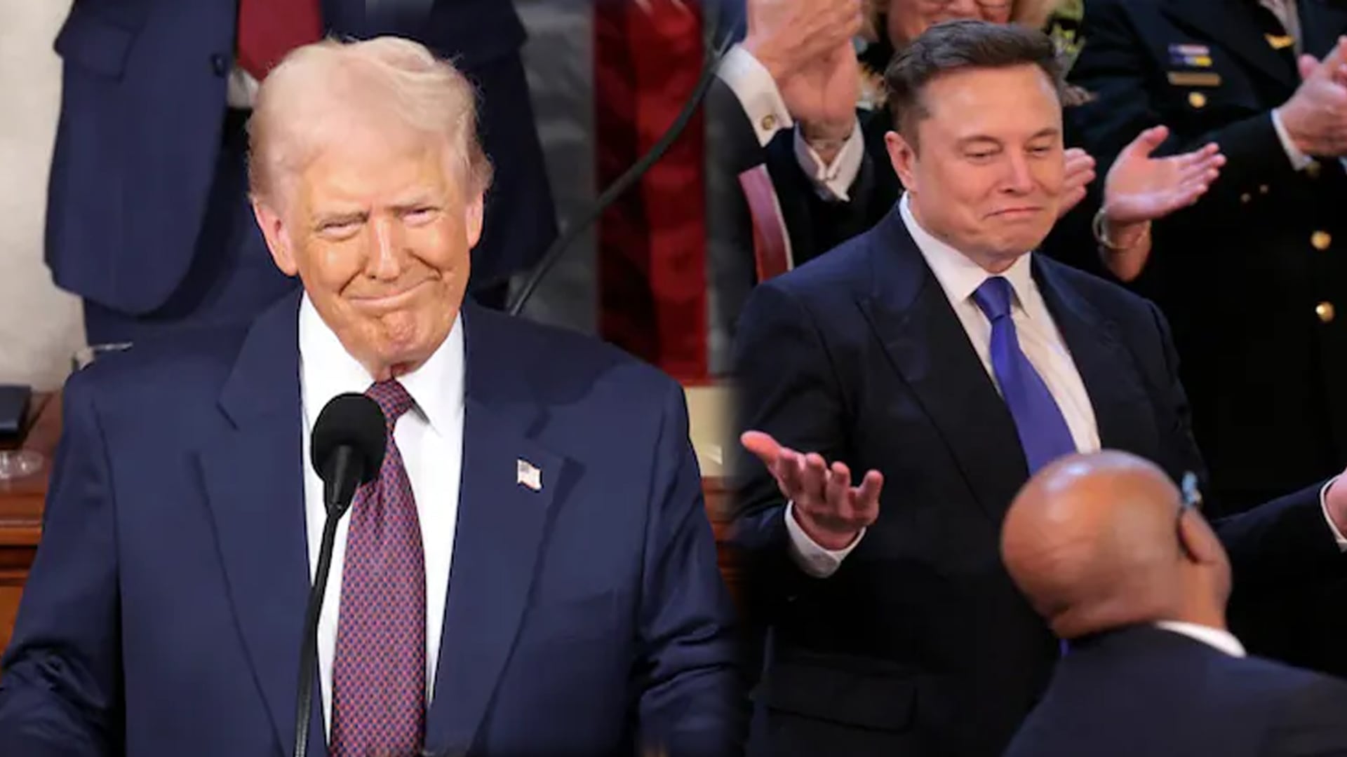 Donald Trump's Big Shout-Out To Elon Musk, DOGE: "Working Very Hard"