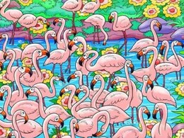 इस तस्वीर में फ्लेमिंगो के बीच एक लड़की छिपी है, अगर 6 सेकंड में ढूंढ लिया, तो आप कहलाएंगे जीनियस