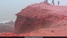 Watch: Iran Beach Turns Bright Red After Mysterious "Blood Rain"