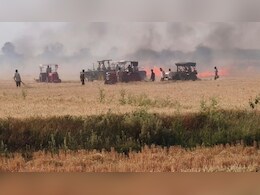 खेत में आग लगने से मचा हड़कंप, पल भर में खाक हुए किसान के 'सपने' खेत में आग लगने से मचा हड़कंप, पल भर में खाक हुए किसान के 'सपने'