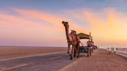 Gujarat Day 2025: Know History, Significance Of State's Formation Day