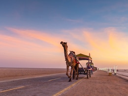 Gujarat Day 2025: Know History, Significance Of State's Formation Day Gujarat Day 2025: Know History, Significance Of State's Formation Day