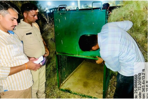 पचपदरा रिफाइनरी में घुसे तेंदुए को पकड़ने के लिए जगह-जगह लगाए गए पिंजरे.