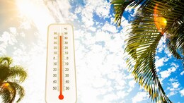 Heat Wave Incoming, Here's How Tihar Jail Plans To Keep Inmates Cool