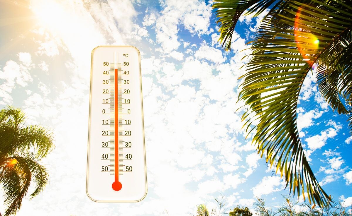 Ню Делхи Два лимона на ден и устойчивите на топлината