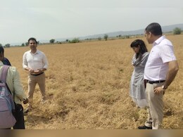 Rajasthan: ओलावृष्टि और अंधड़ ने किसानों की सालभर की मेहनत कर दी खराब, जयपुर कलेक्टर ने फसल खराबे का लिया जायजा Rajasthan: ओलावृष्टि और अंधड़ ने किसानों की सालभर की मेहनत कर दी खराब, जयपुर कलेक्टर ने फसल खराबे का लिया जायजा