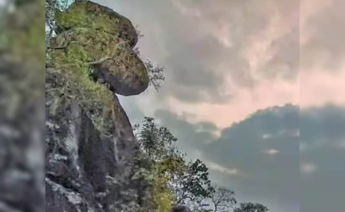 Latest and Breaking News on NDTV