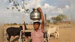 World Water Day: &ldquo;घी सस्ता और पानी महंगा&rdquo; रेगिस्तानी इलाके जैसलमेर में कम होता भूजल स्तर, 8000 ट्यूबवेल बने&nbsp;