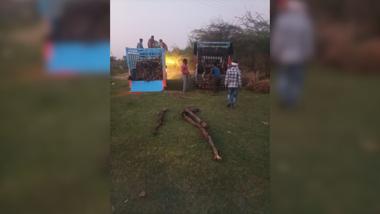 श्मशान घाट में अंतिम संस्कार की हो गई थी तैयारी, शव लेने अस्पताल पहुंचे तो मिला जिंदा 