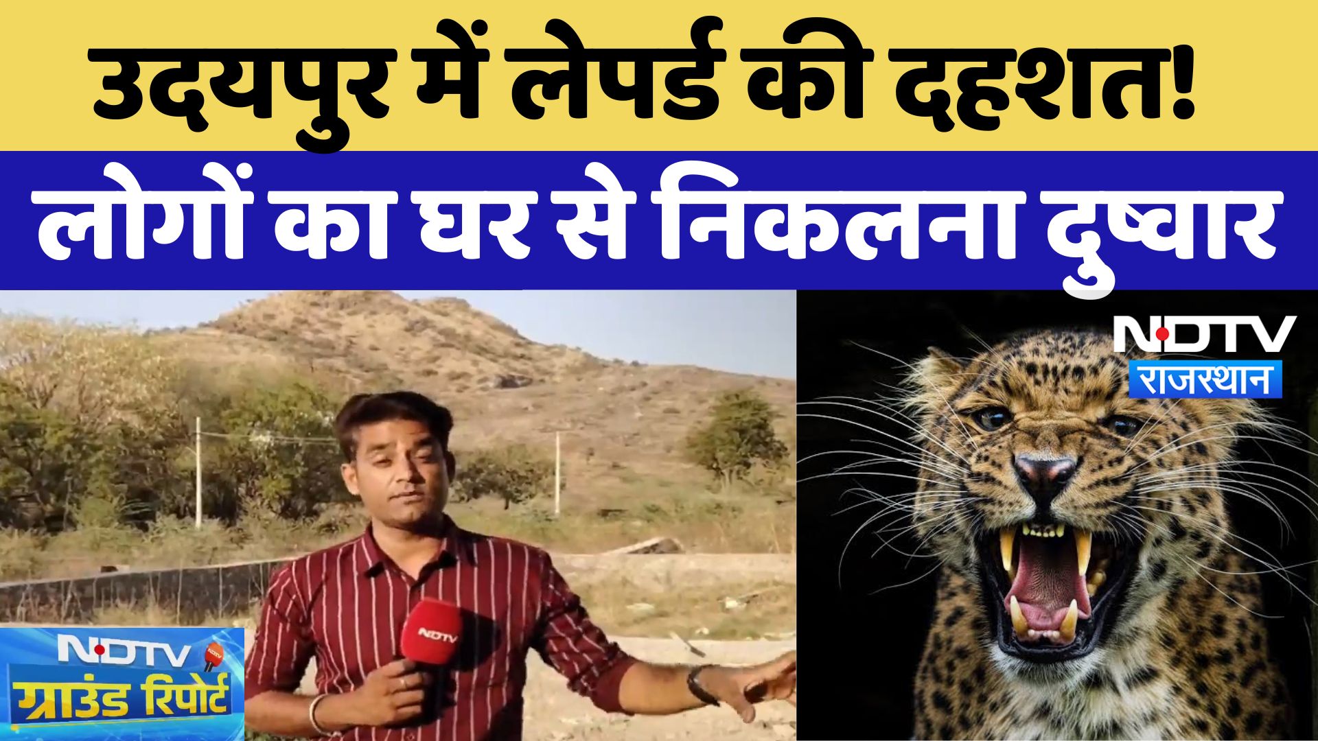 Leopard Attacks in Udaipur: इन इलाकों में लेपर्ड का आंतक, लोगों का घर से निकलना मुश्किल! | Rajasthan