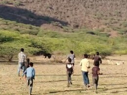 Rajasthan: बूंदी में खेत में घुस आया भालू, मूवमेंट की सूचना पर पीछे-पीछे भागे लोग; ग्रामीणों में दहशत Rajasthan: बूंदी में खेत में घुस आया भालू, मूवमेंट की सूचना पर पीछे-पीछे भागे लोग; ग्रामीणों में दहशत