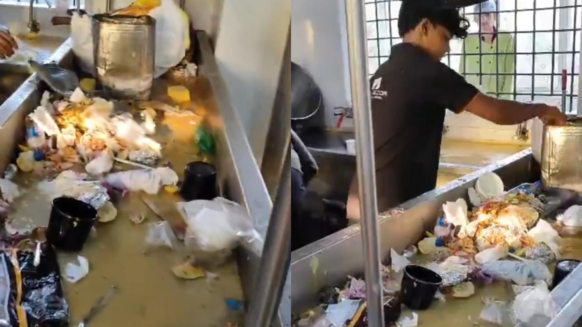 Cockroach And Rodent Infestation Found At '4 Seasons Multi Cuisine Restaurant' In Hyderabad