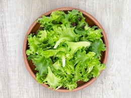 Cyclospora Illness Surges In The US: Could Lettuce Be The Cause Of Spread?