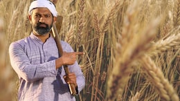 Gehu Kharidi: 1 मार्च नहीं, MP में अब इस तारीख से होगी गेहूं की खरीदी, किसानों को मिलेगा 1400 करोड़ का बोनस