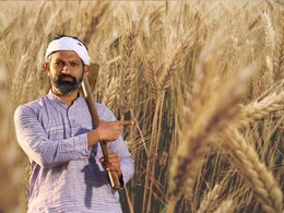 Gehu Kharidi: 1 मार्च नहीं, MP में अब इस तारीख से होगी गेहूं की खरीदी, किसानों को मिलेगा 1400 करोड़ का बोनस