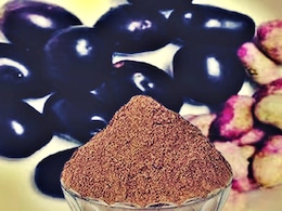 सेहत के लिए वरदान है जामुन की गुठली का चूर्ण, कई बड़ी बीमारियों में फायदेमंद