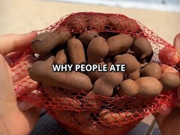 Vlogger Calls Tamarind Pods "Beans" With "Larvae" Inside, Desis Are Quick To Correct Her