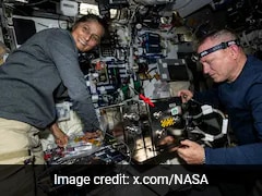 Christmas, Elections, Gardening: How Sunita Williams Kept Busy In Space