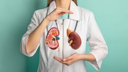 World Kidney Day 2025: Can Obesity Increase The Risk Of Kidney Diseases?