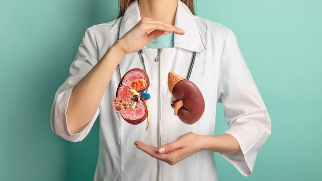 Study Finds Increase In Deaths Due To Kidney Problems Highest Following Tropical Cyclones