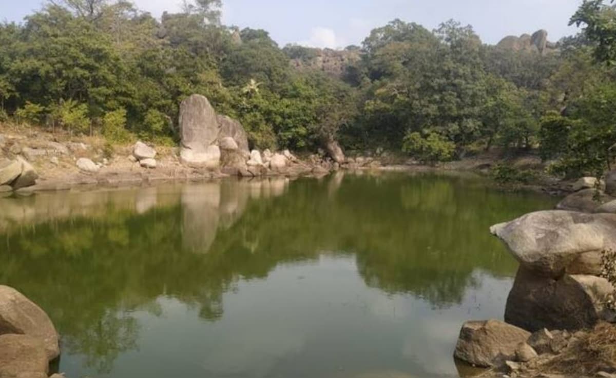 Latest and Breaking News on NDTV