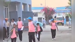 उज्जैन में खिलाड़ियों पर मधुमक्खियों का हमला, आठ घायल