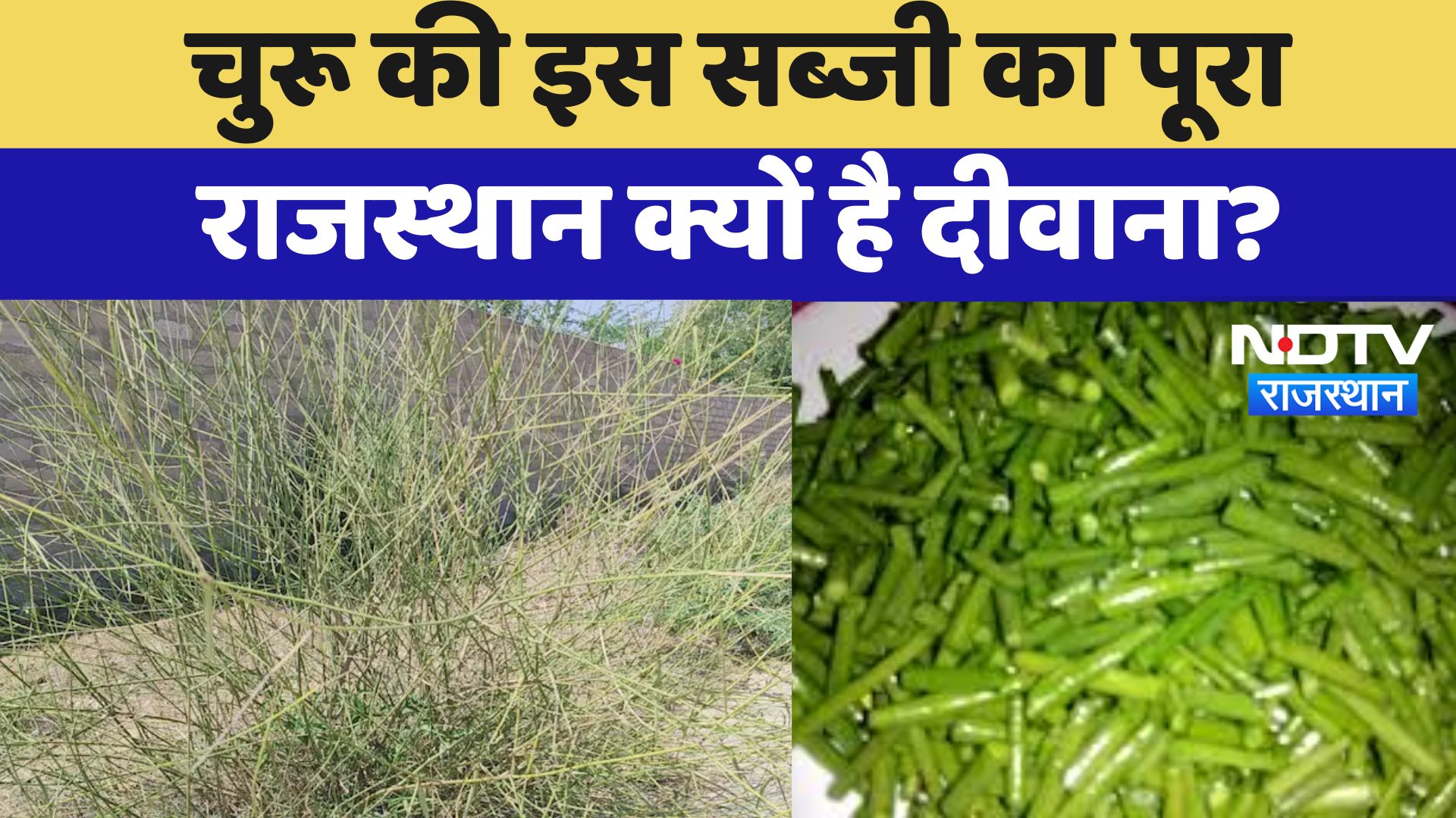Khippoli Vegetable News : Churu की इस सब्जी का पूरा Rajasthan क्यों है दीवाना ?