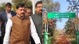MP New Tiger Reserve: माधव राष्ट्रीय उद्यान बना टाइगर रिजर्व, 10 मार्च को छोड़े जाएंगे दो नए बाघ