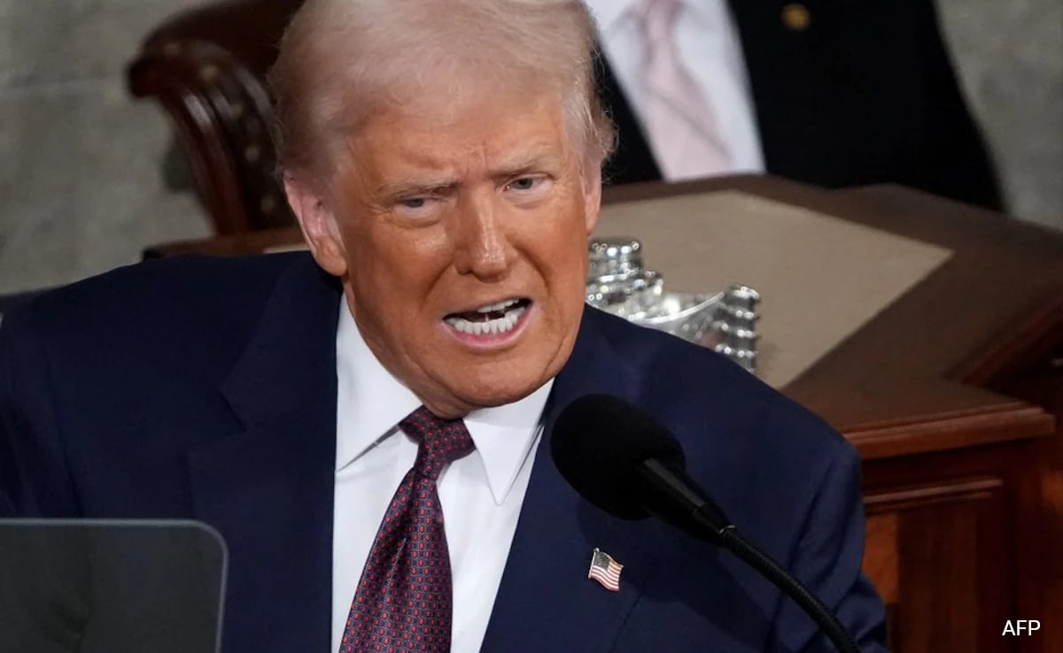 Trump's Tariff Policies Towards India: Bullying, Flawed Logic, and Challenges