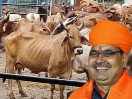 राजस्थान सरकार ने गौसेवा के लिए लिया बड़ा फैसला, 15 प्रतिशत बढ़ाई गई गौशालाओं की अनुदान राशि