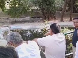 Gwalior Zoo: ग्वालियर के चिड़ियाघर का होगा विस्तार, चिम्पांजी जैसे जीवों को लाने की कवायद शुरू 