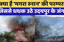Udaipur Fire: क्या है 'मगरा स्नान' की परम्परा?, जिससे धधक उठे जंगल Udaipur Fire: क्या है 'मगरा स्नान' की परम्परा?, जिससे धधक उठे जंगल