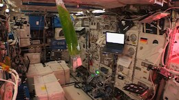 Bio-Farming, Muscle Loss To Be Among Indian Astronaut's Space Experiments