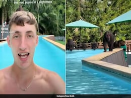 Monkeys Chase British Tourist Out Of Hotel Pool In Thailand: "Scariest Moment Of My Life" Monkeys Chase British Tourist Out Of Hotel Pool In Thailand: "Scariest Moment Of My Life"
