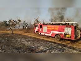 Rajasthan News: राजस्थान के नाहरगढ़ में लगी भीषण आग, 300 बीघा जंगल जल कर हुआ ख़ाक 