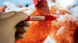 टीनएजर्स और बच्चों को H5N1 वैक्सीन से होगा ज्यादा लाभ, स्टडी में हुआ बड़ा खुलासा
