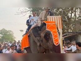 In Nostalgia Trip, Himanta Biswa Sarma's Elephant Ride On Assam Bridge In Nostalgia Trip, Himanta Biswa Sarma's Elephant Ride On Assam Bridge