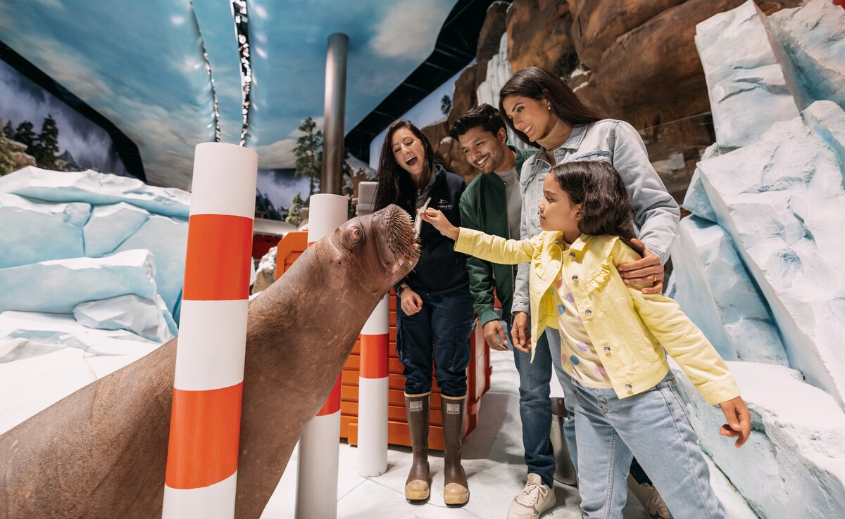 SeaWorld Abu Dhabi SeaWorld Abu Dhabi